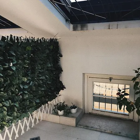 Domus Nova Il *